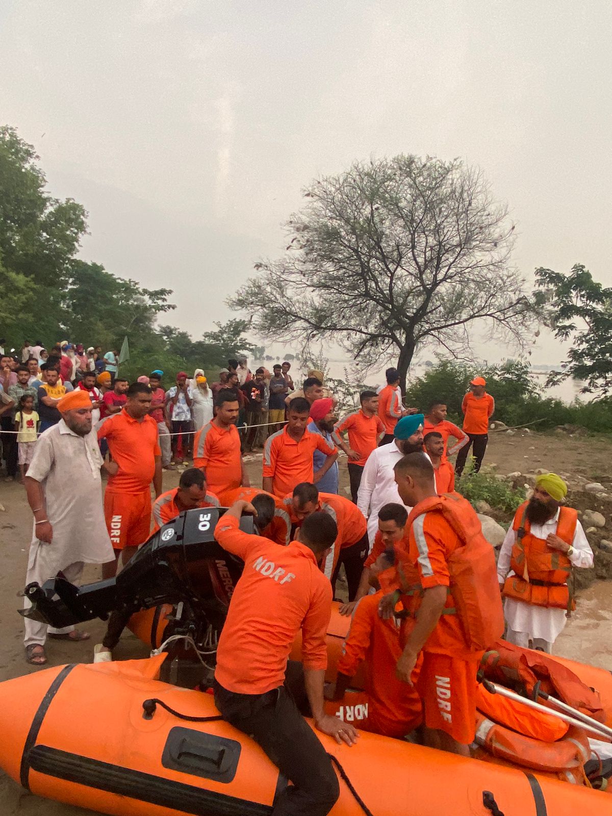 95018501 2222 402f 88f1 d07c7125162f